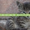 (开心猫舍小猫)开心猫舍小雨君，猫舍的快乐世界与独特魅力