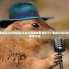 (全能总裁的全能兵王萧晨小说)全能总裁的兵王萧晨传奇