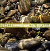(鹅卵石工艺品制作方法)用鹅卵石打造独特工艺品，展现大自然的美丽与神秘