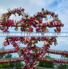 (lol凯南出装顺序)LOL凯南出装攻略，打造无敌电刃使者