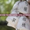 (无尽洪荒选什么属性)无尽洪荒后期最强职业排行榜：谁能称霸最终深渊？
