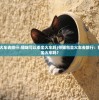 (寒刃单机版下载)寒刃单机版，深入解析游戏特色与魅力