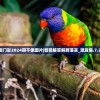 新澳门彩2024四不像图片|智能解答解释落实_激发集.7.265