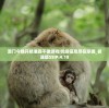 澳门今晚开精准四不像游戏|优质信息尽在掌握_极速版SSIP.4.18