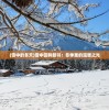 (雪中的冬天)雪中回眸新书：冬季里的温暖之光