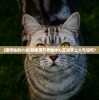 (猫修仙的小说)我家猫开修仙中心在知乎上人气如何？