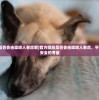 (铠六会有终极铠甲吗)铠六会，终极铠甲的期待与揭秘