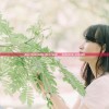 (群星之子逃婚录在线阅读)《群星之子逃婚录》：一场跨越星际的惊心动魄逃婚冒险