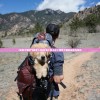 江个湖土行属性研究，探寻最佳属性加成