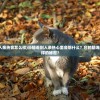 (猫看到主人亲热会怎么样)当猫看到人亲热心里会想什么？它的脑海里隐藏着怎样的秘密？