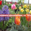 (躲猫猫变异下载)躲猫猫之躲避变异手机，一场科技与趣味的碰撞