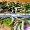 (方舟生存进化毛毛虫解说合集)方舟生存进化毛毛毛虫解说，深入解析生存进化的奥秘与挑战
