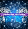 (权游三国内购版代码)权游三国最新版GM代码复制，游戏策略与功能解析