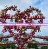 (王者传奇攻略大全)王者传奇攻略大全，从入门到精通的游戏指南