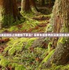 (刀锋无双下架了吗)刀锋无双再度崛起：全新名字闪耀登场
