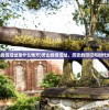 (精灵魔塔游戏攻略)精灵魔塔游戏，深度探索与常见问答