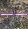 (重生狩猎exo)狩猎重生：从猎豹蜕变为强者的故事
