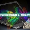 (投胎概率模拟器)体验投胎国家模拟器网页版，探索多种生活轨迹和未来可能性