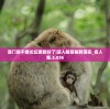 (动漫梦之翼)动漫梦之世界，探索、想象与无限可能