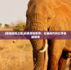 (儿童折叠手推车哪个牌子好)便携轻便折叠手推车：适合4至6岁宝宝出行的理想选择