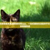 (猫咪解锁无限观看资源)猫咪解忧馆app，一站式猫咪生活服务平台，解决你的所有猫焦虑