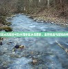 (木筏求生冰岛密码4位)木筏求生冰岛密码，生存挑战与探险的神秘钥匙