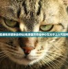 (直播我家猫咪会修仙)我家猫开修仙中心在知乎上人气如何？