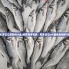 (航海日记探索物大全)探索海洋奇迹：航海日记2中最强食物排行榜