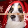 (我的动物朋友--小狗)我的动物朋友——小狗旺豆的奇妙世界