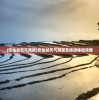 (我也是大侠为什么下架了呢)我也是大侠为何下架，深度探究与常见问题解答