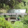 (塔塔英雄攻略最新)塔塔英雄攻略大全及常见问答解析