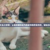带猫上火车小妙招：让你的猫咪成为旅途中的忠实伙伴，轻松出行无忧！