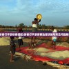 (天工物语无限版下载)天工物语无限版，深度解析与探索