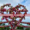 (狂暴之翼无限钻石版本)狂暴之翼2满V无限钻石版，游戏深度解析与常见问题解答