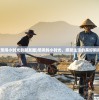(寂静森林攻略手机版)寂静森林攻略大全及常见问答解析