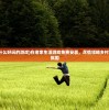 (在老家有什么好玩的游戏)在老家生活游戏免费安装，尽情领略乡村风光和热闹氛围