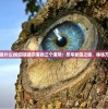 (开局一个小兵的单机游戏叫什么)开局一个小兵，独特的单机游戏魅力