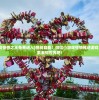 (规则百科)规则怪谈起源于哪个国家？探索这一神秘现象的根源及起源国家