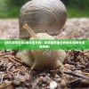 (孤岛先锋下架原因是啥)孤岛先锋下架原因深度探究及其影响