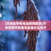 (明日守护者普通话国语下载)明日守护者普通话国语，守护未来的英勇力量