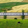 (浪漫庄园野外牧场)浪漫庄园与野外矿区分布：异乡之美，自然之宝