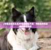 (牛奶做炼乳的教程)牛奶炼金工厂手机版官方正版，让你体验全新的养生奇妙之旅