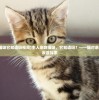 (主人亲吻猫咪它知道吗视频)主人亲吻猫咪，它知道吗？——猫对亲吻的感知与反应探索