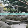 (海商王2自治港贸易攻略)海商王2自治港攻略详解及常见问题解答