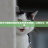 (机甲战队最强机甲排名)揭秘机甲战队，探寻最强机甲的荣耀之路