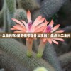 (热血传说之复古英雄版道道组合后期厉害么?)热血传说之复古英雄版，重温经典，英雄再临