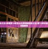 (恶魔城暗影之王2攻略第13章怎么过)恶魔城暗影之王2第13章详细攻略及常见问题解答