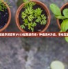 (战神纪手游官网)战神纪手游攻略大全及常见问题解答（FAQ）