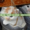 (达猫小分队下架)达猫小分队为何关服？深度解析背后的原因