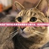 (猫宅日记兑换码2021)猫宅日记9区礼包码：抢先领取独家福利，尽享养猫生活的乐趣！